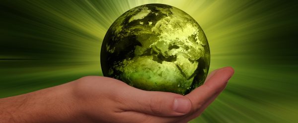 Online Workshop: Sustainability in Global Business Districts. Insights from China